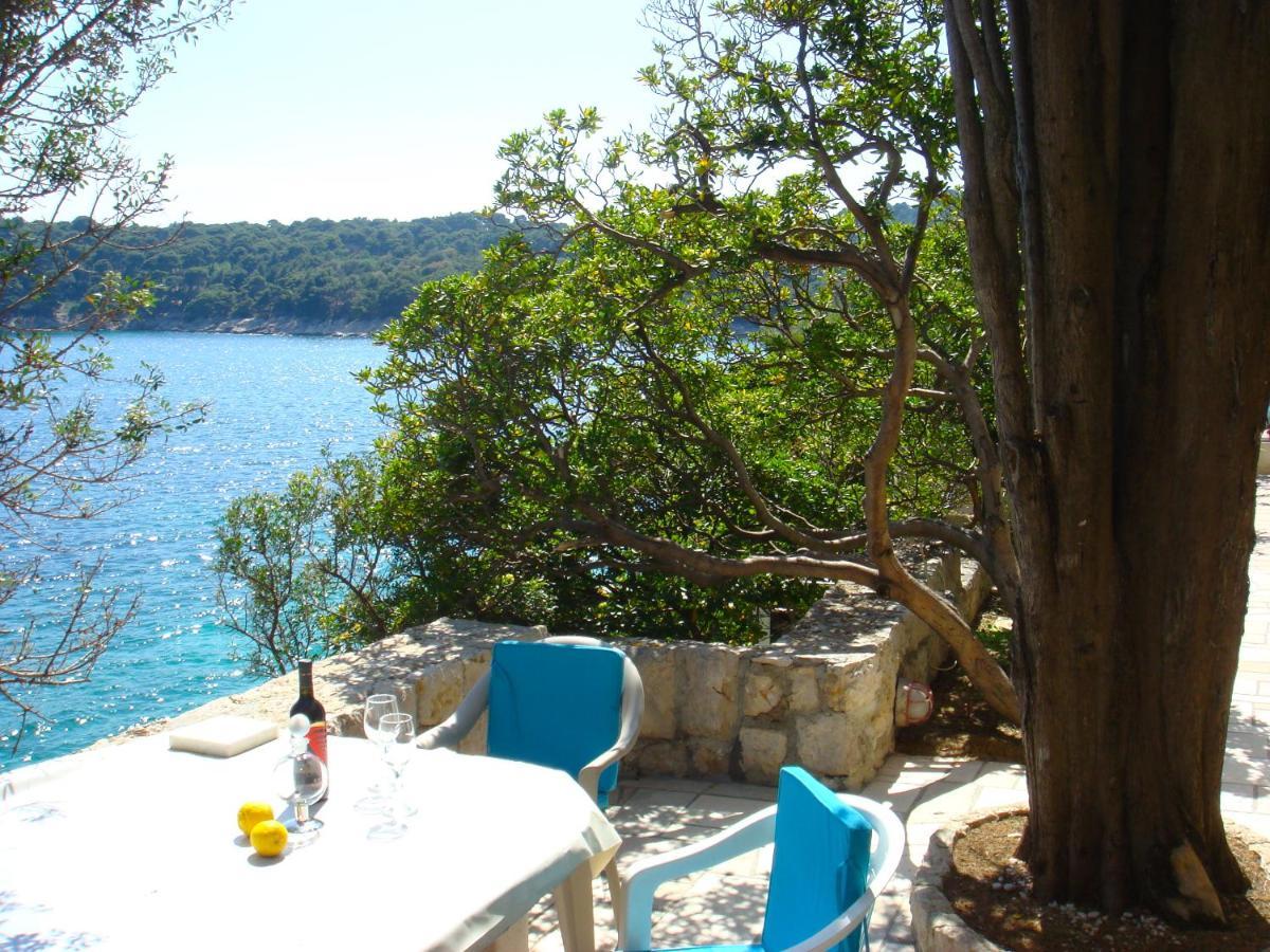 Beach House On The Cliff Zaton  Luaran gambar