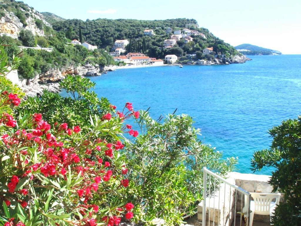 Beach House On The Cliff Zaton  Luaran gambar