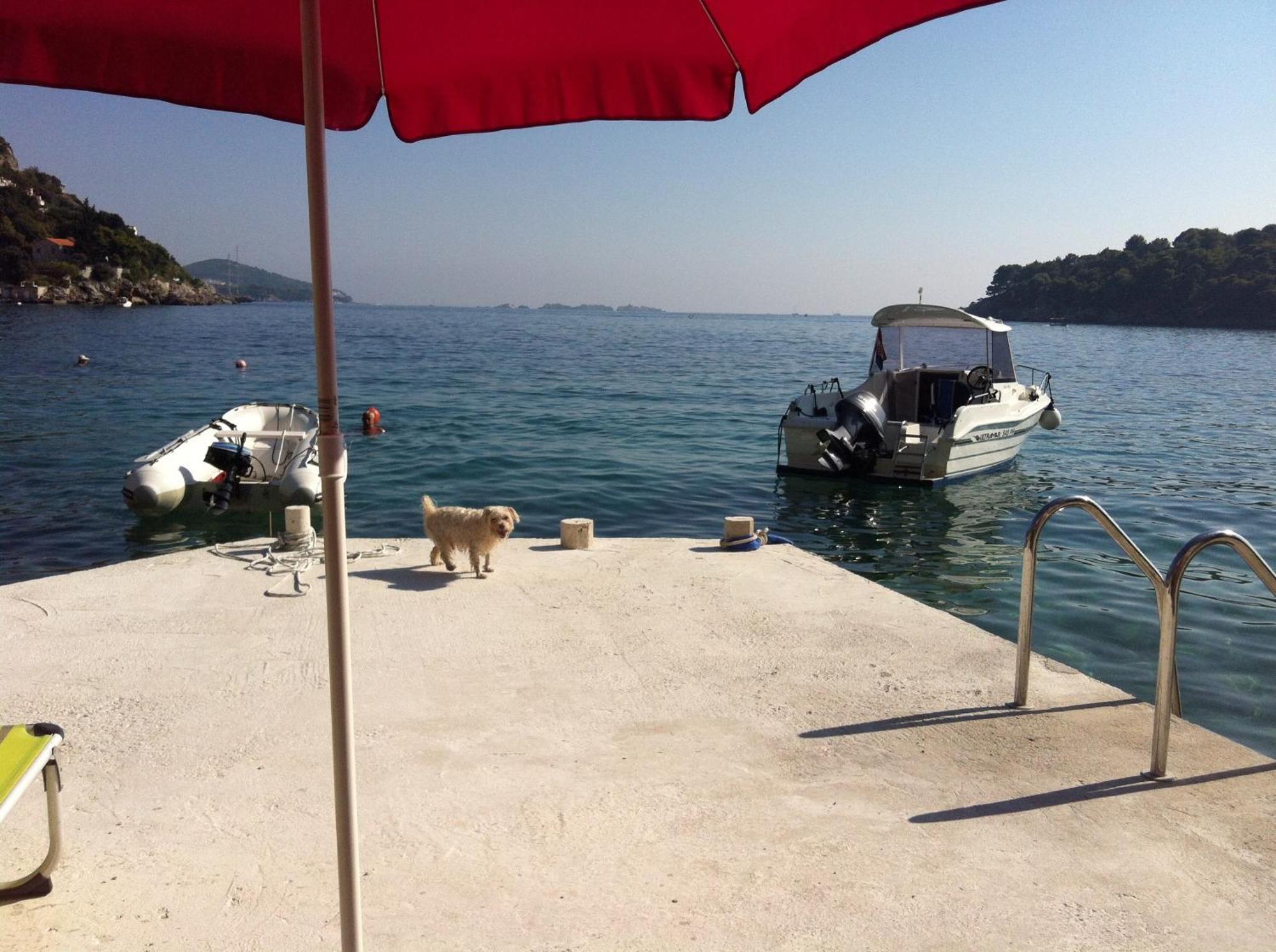 Beach House On The Cliff Zaton  Bilik gambar